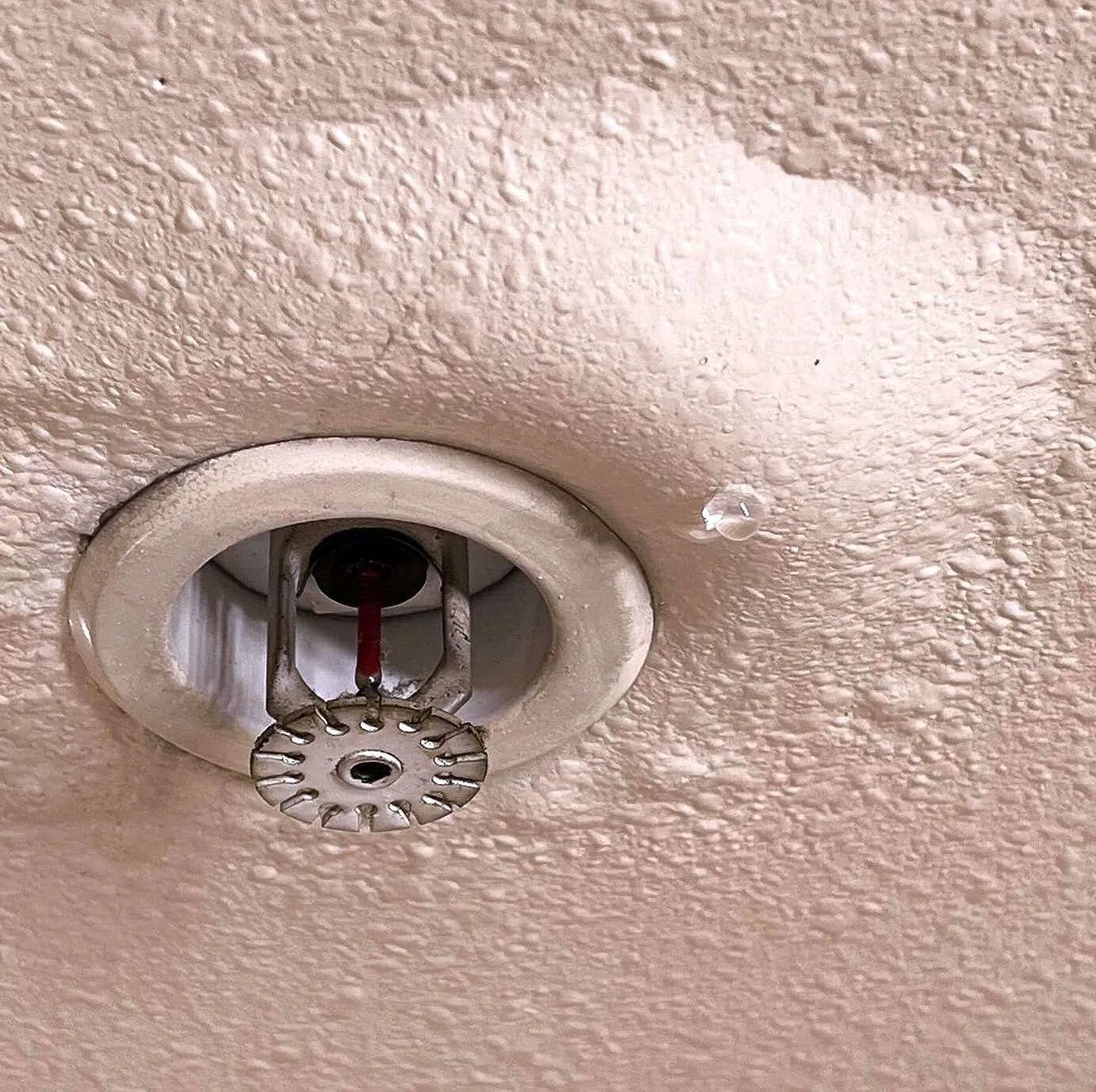 Water Damage Restoration — Residential — North Philadelphia